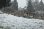 vu etang neige