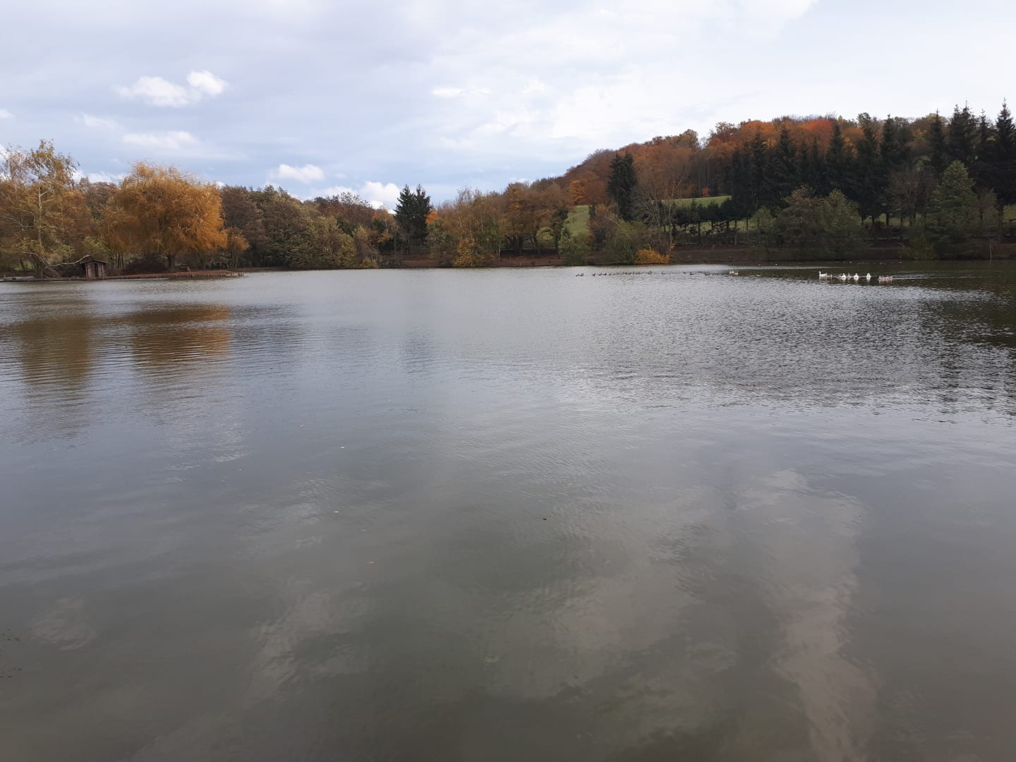 Etang de St Anne